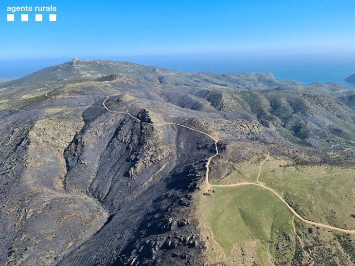 Imagen de la zona del incendio en Roses (Girona)