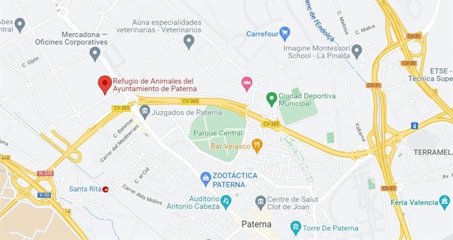 Refugio de animales de Paterna