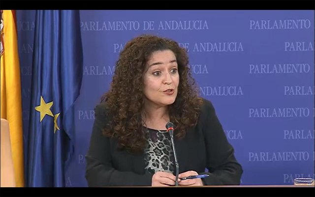 Inmaculada Nieto este miércoles en el Parlamento.