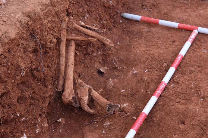 Restos óseos en el cementerio de ses figueretes, Ibiza