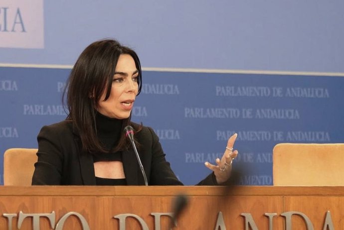 La portavoz de Vox en el Parlamento, Teresa Pardo