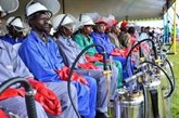 Foto: El Fondo Mundial contra sida, tuberculosis y malaria reclama invertir 15.870 millones para salvar 20 millones de vidas