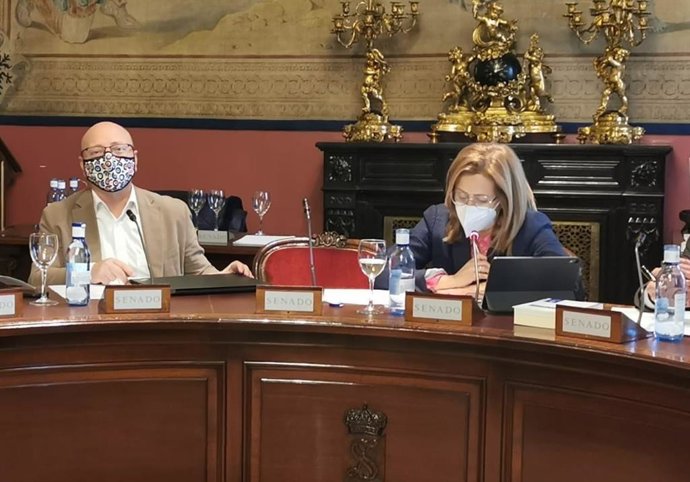 El secretario general de CCOO de Baleares, José Luis García, en una intervención en el Senado.