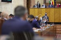 Moreno pide a Vox que "se serene" porque le queda "un tiempo" hasta las elecciones y recupere una actitud "constructiva"