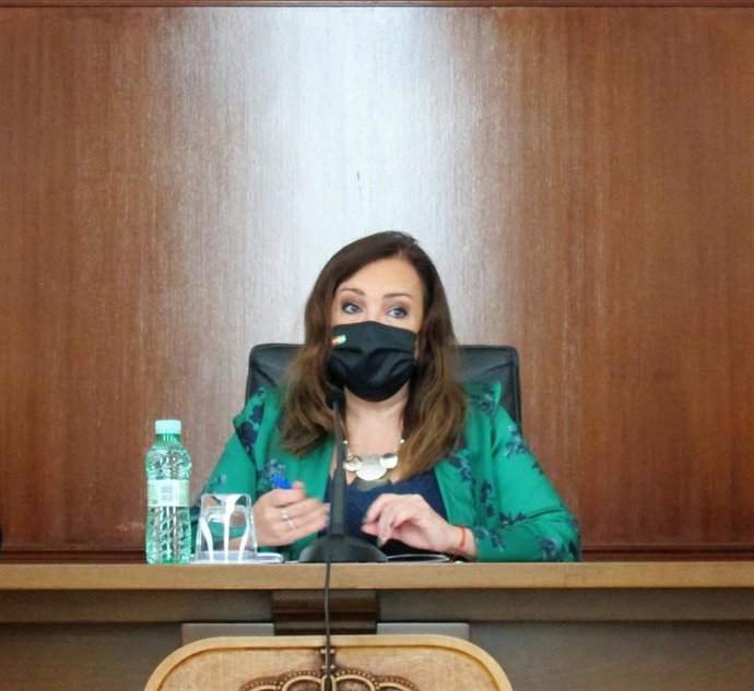 Archivo - La subdelegada del Gobierno en Jaén, Catalina Madueño.