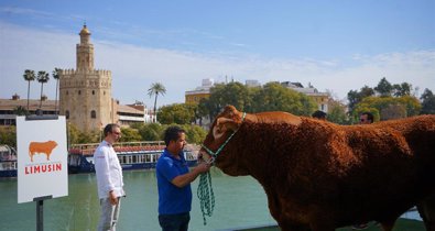 Sevilla