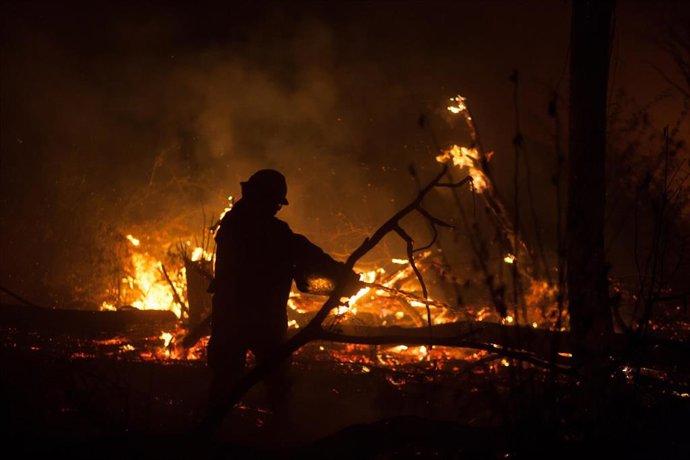 Archivo - 28 August 2019, Bolivia, Santa Rosa de Tucabaca: A fireman extinguishes a fire in the Chiquitania Forest in Santa Rosa de Tucabaca with water from a plastic canister. The emergency forces in eastern Bolivia continue to contain the devastating 