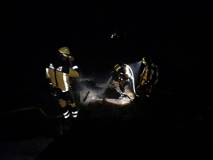 Efectivos antiincendios en el Puig de ca na Bassera, en Alcudia.