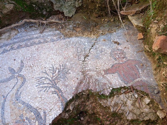 Imagen de una parte del mosaico romano hallado en un olivar de Adamuz.