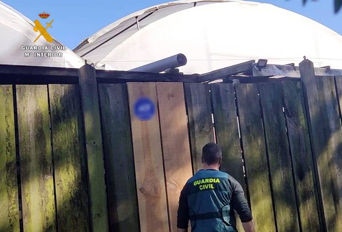 Invernaderos donde se produjeron los robos