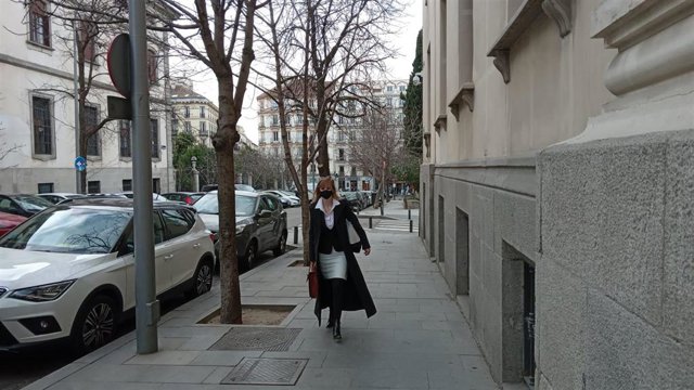 La abogada de César Román a su llegada al TSJM.