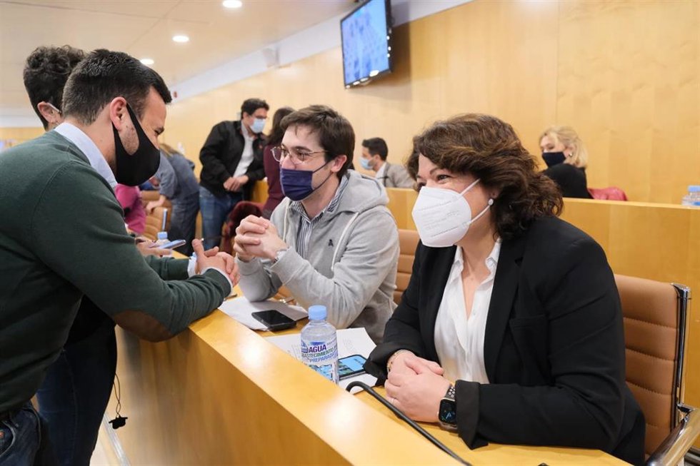 Pleno de la Diputación