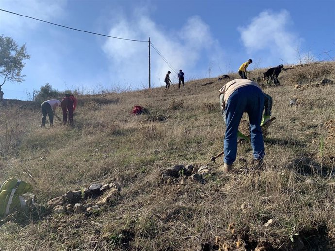 Una de las arboladas organizadas por la Diputación de Málaga dentro de las acciones contra el cambio climático