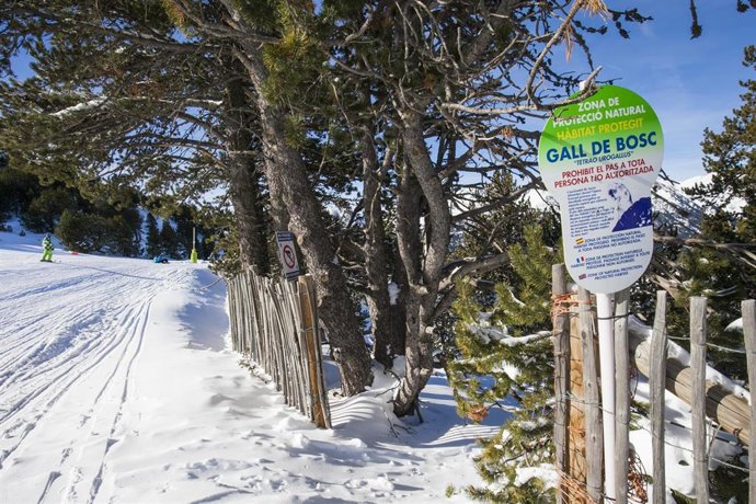 Archivo - La protección del medio ambiente y la sostenibilidad, ejes esenciales de las Finales de la Copa de Europa de esquí alpino de Grandvalira.