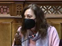 Ciudadanos rechaza el "menosprecio" del Govern al Consell de Mallorca con la Ley Turística