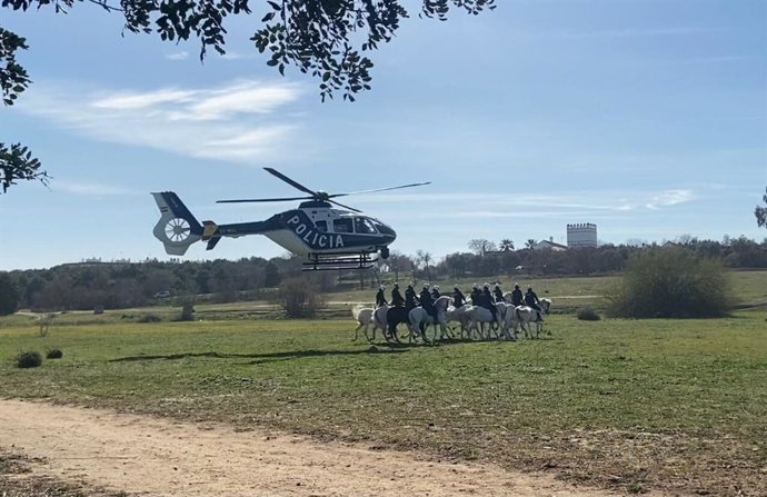 La Policía Nacional y la GNR de Portugal mantienen un encuentro para incrementar la cooperación de caballería.
