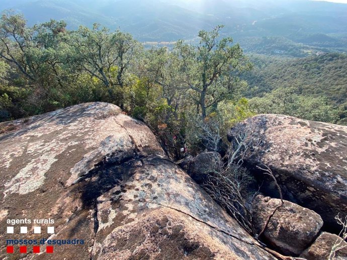 Imagen del incendio en Calonge (Girona)