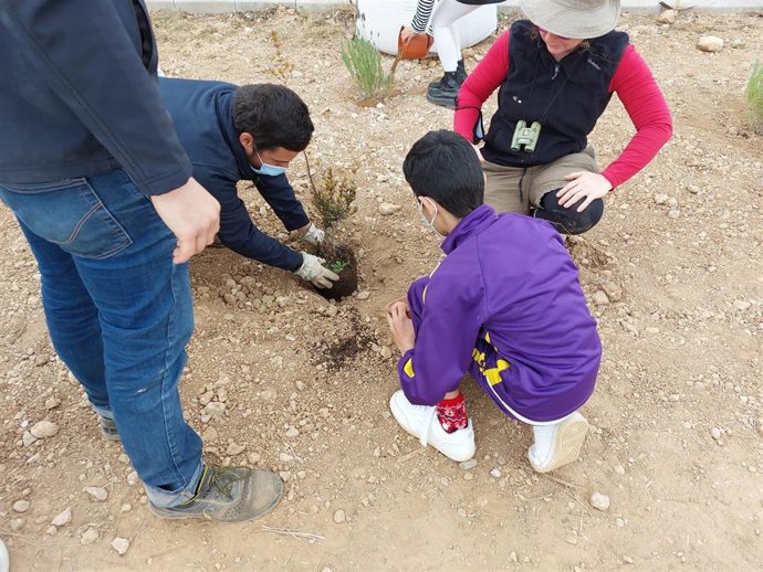 Siembra de plantas en el patio del CEIP Rafal Vell.