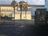 El TSXG autoriza prorrogar hasta el 12 de marzo el uso de certificado Covid en hospitales y residencias