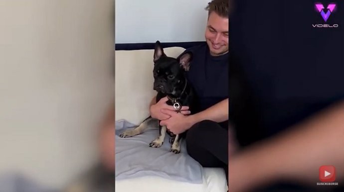 Este perro se pone celoso del bebé de su dueña