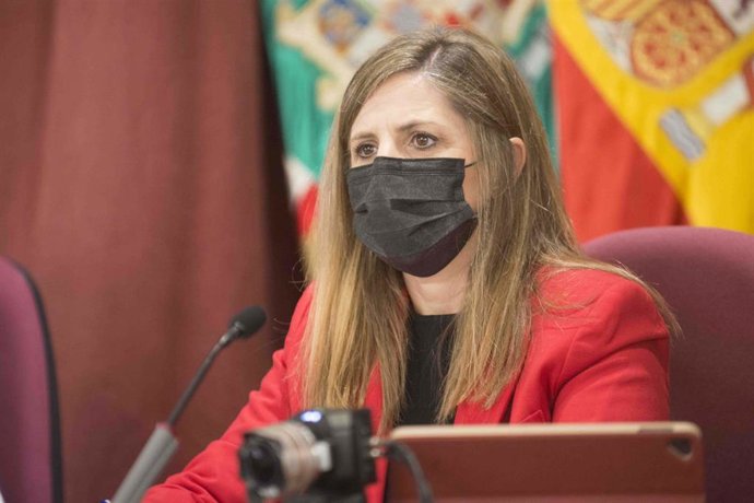 Archivo - La presidenta de la Diputación de Cádiz, Irene García, durante el pleno ordinario de la Diputación de Cádiz.