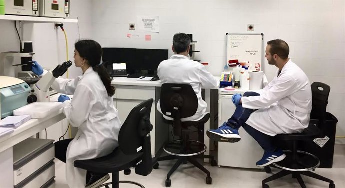 Investigadores del IDIVAL