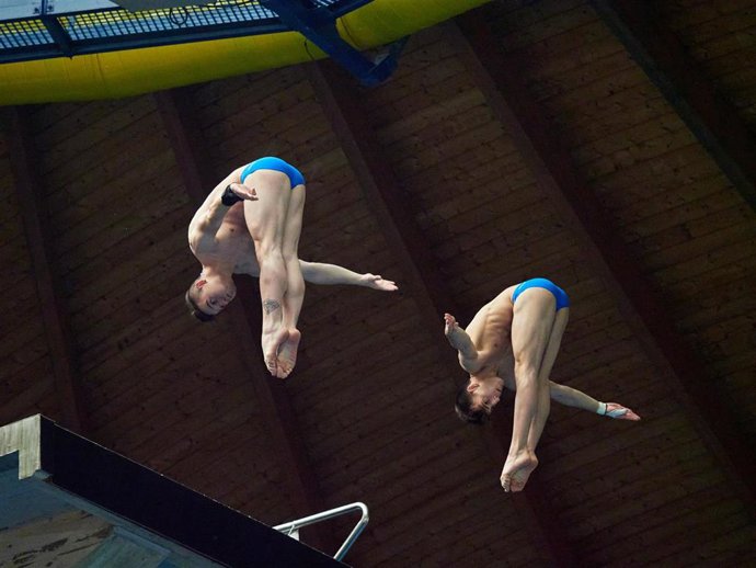 Archivo - Fina Diving Grand Prix Madrid 2020