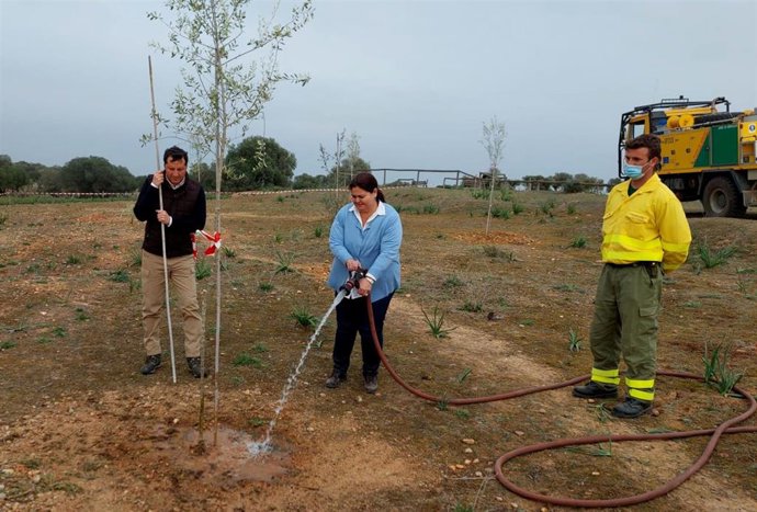 Junta anuncia la plantación de 500 árboles por el Día de Andalucía