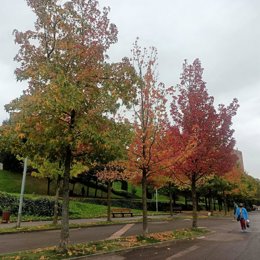 Archivo - Nubes en Basauri (Bizkaia)