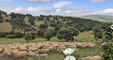 Extremadura