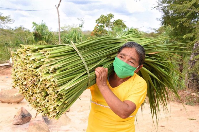 Archivo - Fundación Microfinanzas BBVA (FMBBVA) ayuda a cientos de miles de mujeres para que salgan adelante con pequeños negocios en América Latina