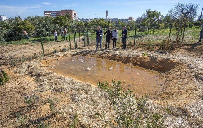Nueva charca para anfibios en el Parque Moret.