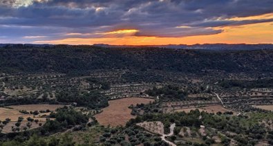 Aragón