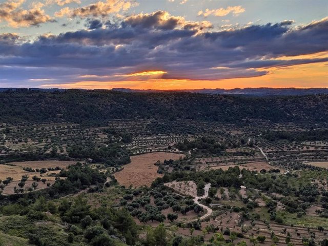 La Plataforma a favor de los paisajes de Teruel alega contra los proyectos de Forestalia en Matarraña y Bajo Aragón