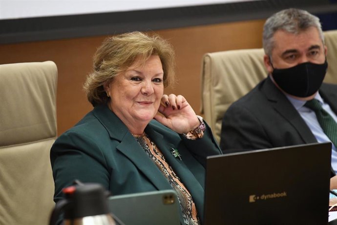 La presidenta del Tribunal de Cuentas, Enriqueta Chicano.