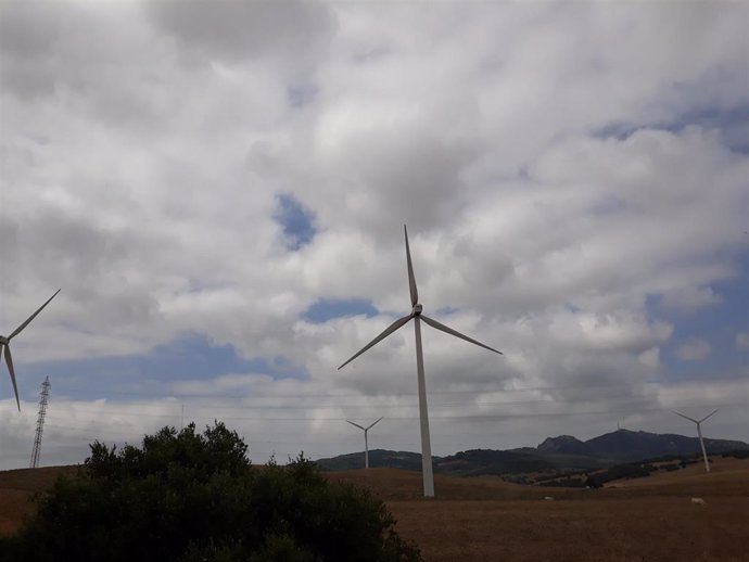 Archivo - Molinos de viento en la N-340, en Tarifa (Cádiz)