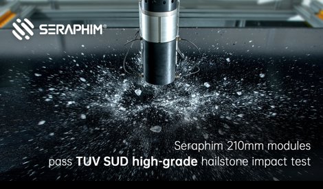 Comunicados Internacional