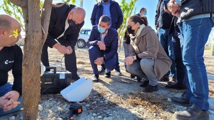 La Región, pionera en Europa en el uso de sensores inyectados en árboles  frutales para reducir el consumo de agua