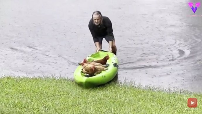 Este heroico granjero salvó a sus gallinas de una inundación en Kayak