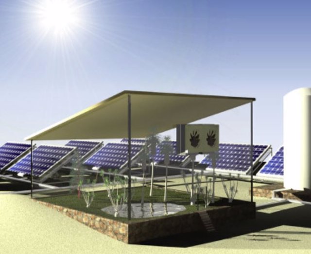 Un sistema integrado impulsado por energía solar produce electricidad con agua dulce y cultivos en regiones áridas