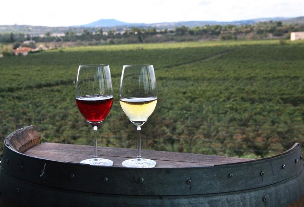 Archivo - Vinos de calidad de Baleares