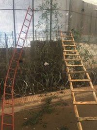 Más de 2.500 migrantes intentan entrar en Melilla, de los que 500 logran saltar la valla