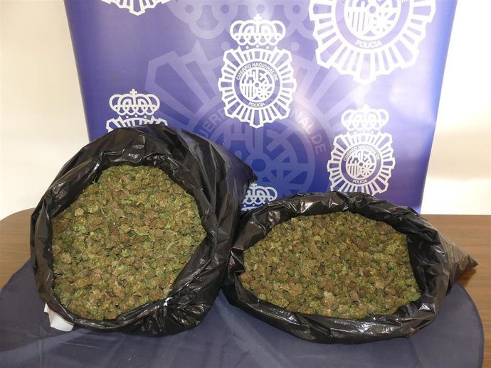 Marihuana incautada por la Policía Nacional.