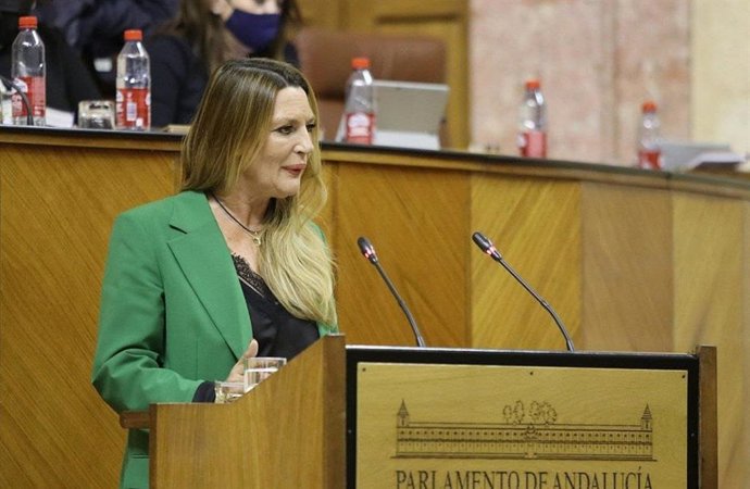 La diputada de Ciudadanos (Cs) en el Parlamento de Andalucía Concha Insúa