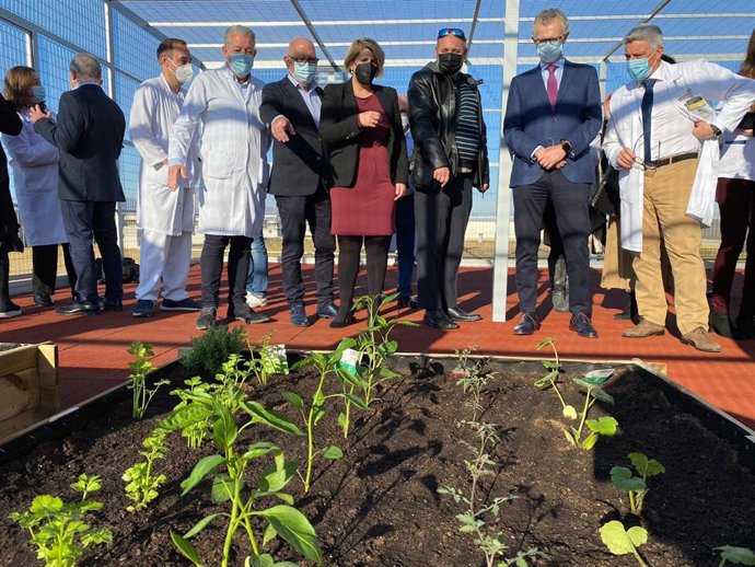 El consejero de Salud, Juan José Pedreño, visitó hoy la nueva terraza al aire libre en la Unidad de Psiquiatría del hospital general universitario Santa Lucía de Cartagena.