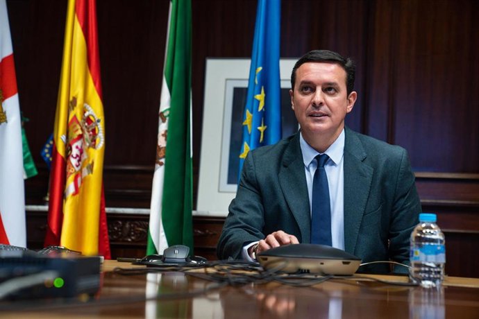 El presidente de la Diputación de Almería, Javier Aureliano García, en un pleno telemático.