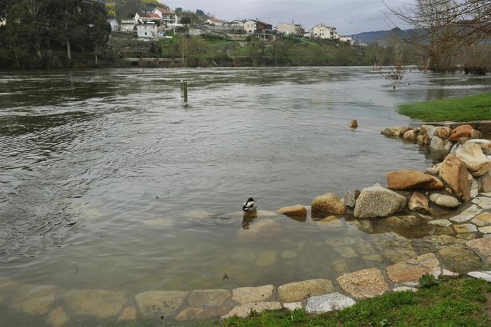 Archivo - Zona termal de A Chavasqueira inundada por el río Miño en Ourense, a 11 de febrero de 2021