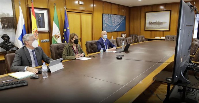 La presidenta del Puerto de Huelva, Pilar Miranda, durante la reunión online del Comité de Distribución del Fondo de Compensación Interportuario.