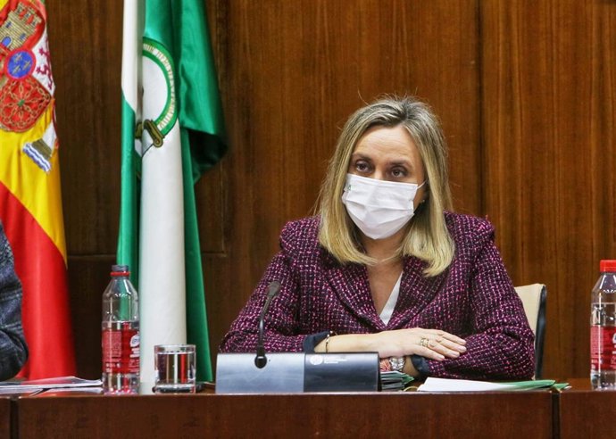 La consejera de Fomento, Infraestructuras y Ordenación del Territorio, Marifrán Carazo, en comisión parlamentaria