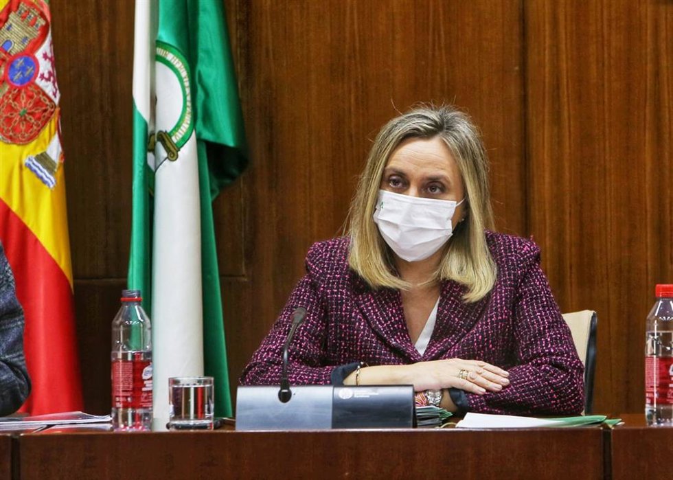 La consejera de Fomento, Infraestructuras y Ordenación del Territorio, Marifrán Carazo, en comisión parlamentaria